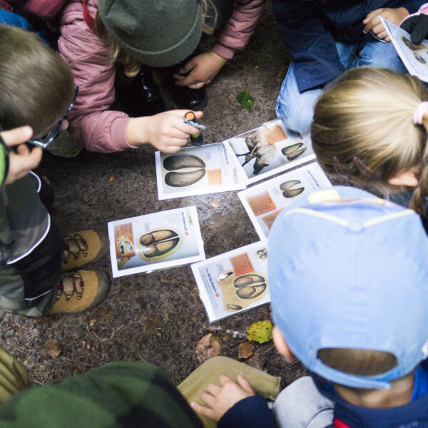 bushcraft yoga naturverbindung leave no trace überlebenstraining für einsteiger Rostock survival abenteuer feuer wild wandern camping wald natur mecklenburg vorpommern familie erwachsene kinder kindergeburtstag