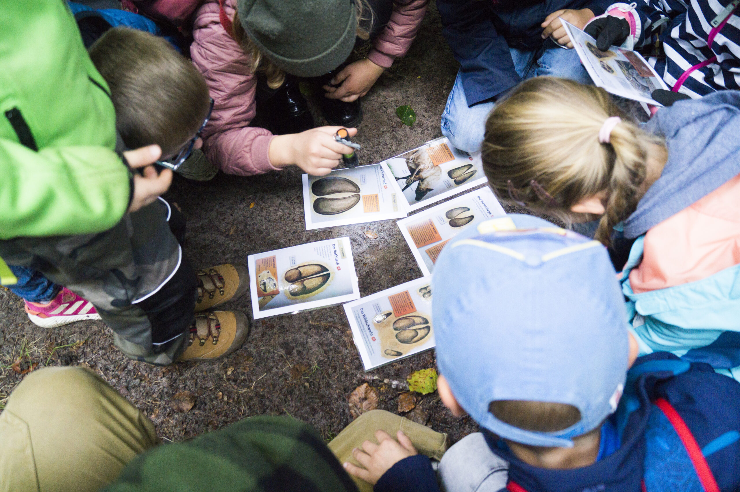 bushcraft yoga naturverbindung leave no trace überlebenstraining für einsteiger Rostock survival abenteuer feuer wild wandern camping wald natur mecklenburg vorpommern familie erwachsene kinder kindergeburtstag