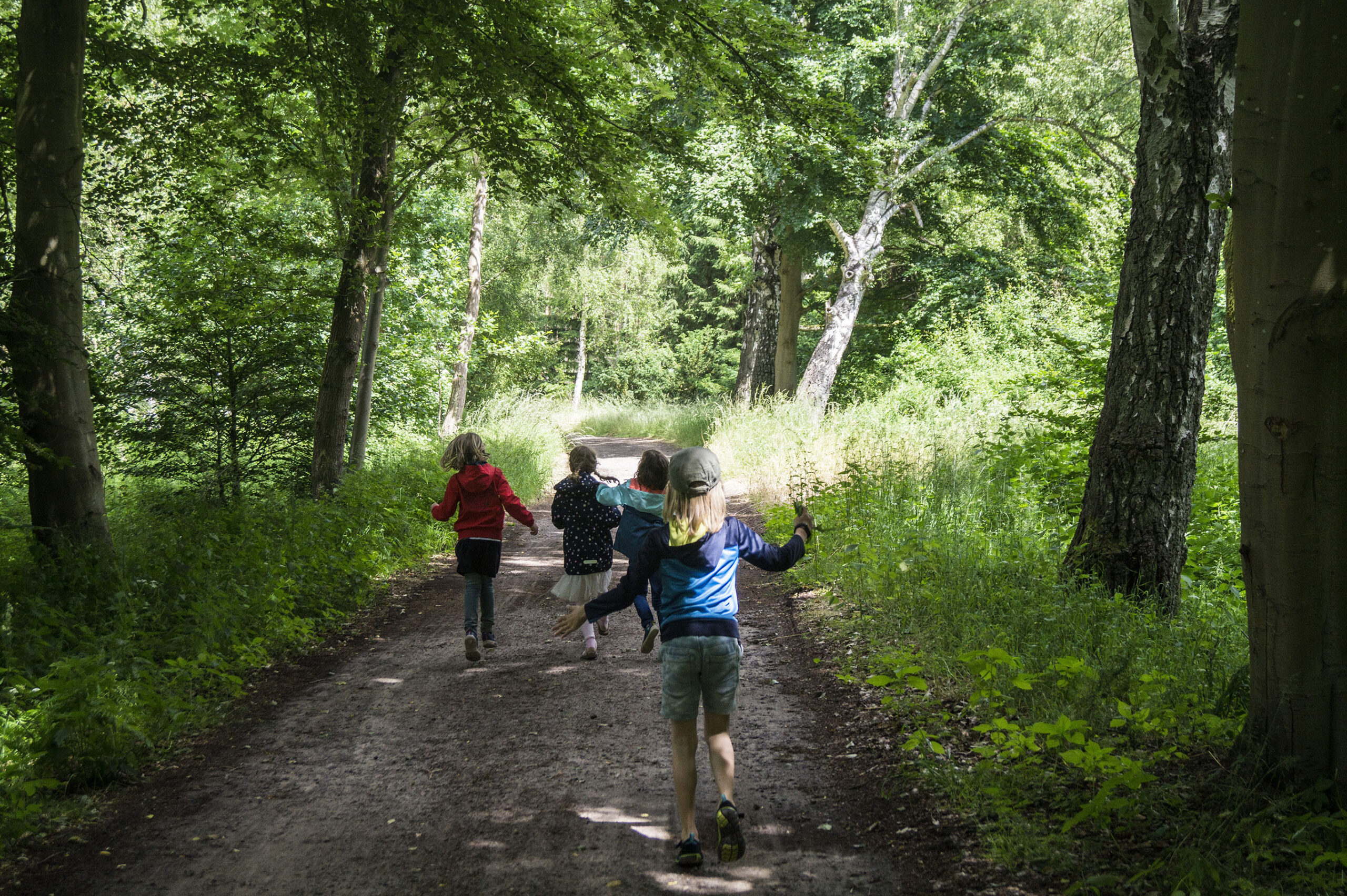 bushcraft yoga naturverbindung leave no trace überlebenstraining für einsteiger Rostock survival abenteuer feuer wild wandern camping wald natur mecklenburg vorpommern familie erwachsene kinder kindergeburtstag