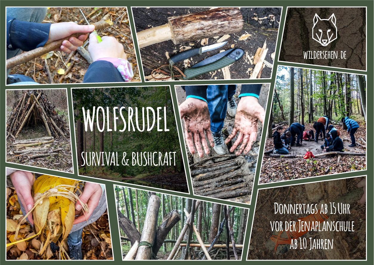 bushcraft yoga naturverbindung leave no trace überlebenstraining für einsteiger Rostock survival abenteuer feuer wild wandern camping wald natur mecklenburg vorpommern familie erwachsene kinder kindergeburtstag