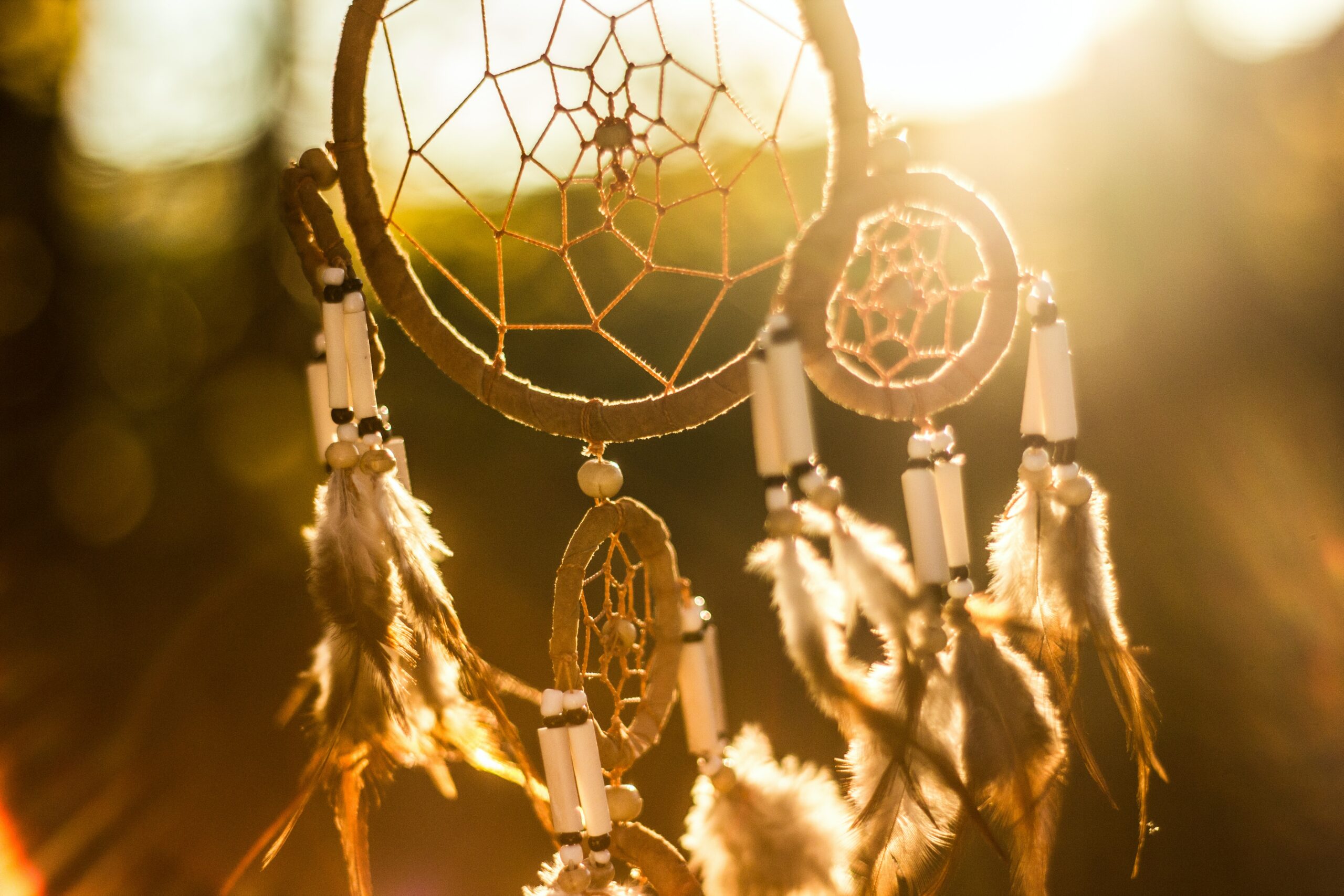bushcraft yoga naturverbindung leave no trace überlebenstraining für einsteiger Rostock survival abenteuer feuer wild wandern camping wald natur mecklenburg vorpommern familie erwachsene kinder kindergeburtstag